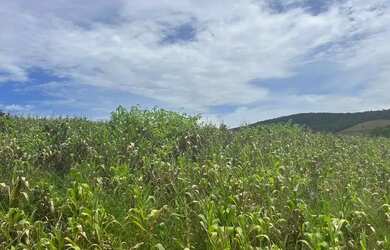 Imagem 7: Terreno à Venda em Ibiúna Ideal para Lazer ou Residência