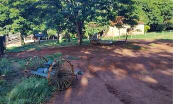 Imagem 2: Fazenda dupla aptidão em Uberlândia