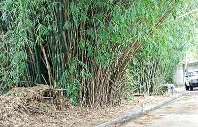 Imagem 2: VENDE - TERRENO Terreno / lote com venda por R$45.000