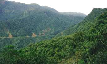 Imagem 2: Fazenda de Reserva de Mata Atlântica - Paraná