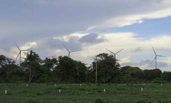 Imagem 7: Lotes em Majorlândia-CE-Caminhos da Praia