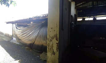 Imagem 5: Aluga-se galpão Central 808 m²