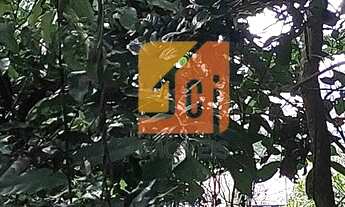 Imagem 6: Lote magnífico no Village II