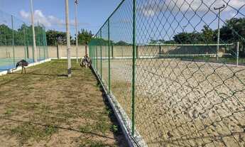 Imagem 5: Terreno para Venda, Zona Rural