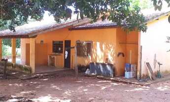 Imagem 4: CAIUA - Fazenda - ESTRADA DA ALEGRIA