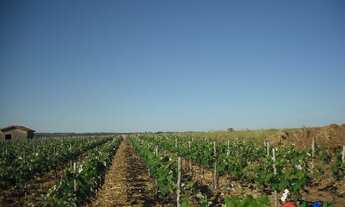 Imagem 3: Indaiatuba Terreno / lote com venda por R$50.000.000