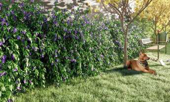 Imagem 6: 2 Dorms, 1 vaga, Lançamento - OPORTUNIDADE