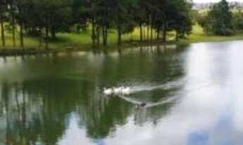 Imagem 5: Terrenos 1000m2 - condomínio - Sarapuí