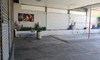 Imagem 3: SãO PAULO - Terreno Padrão - Vila Mascote