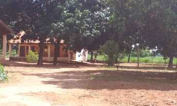 Imagem 3: CAIUA - Fazenda - ESTRADA DA ALEGRIA