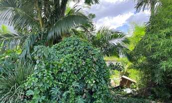 Imagem 3: Terreno à venda, 360 m² por R$ 265.000 - Boa Vista - Blumenau/SC