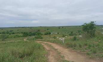 Imagem 3: 22,5 Hectares de terra em Sapé, ótimo para criação de gado Sapé - PB