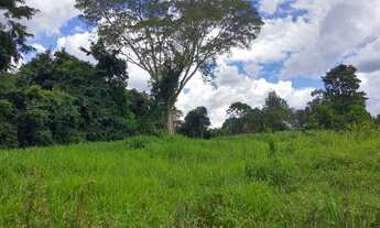 Imagem: Sítio 7 Alqueires Cultura em Água Limpa