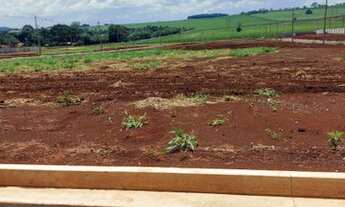 Imagem 3: Quinta da Mata 10x25m² excelente topografia - Ilha