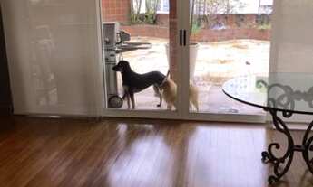 Imagem 4: Cobertura - 581 metros quadrados com 4 quartos em Moema - São Paulo - São Paulo