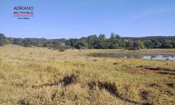 Imagem 5: TERRENO COM 60.000M², LAGO, CONDOMÍNIO RURAL EM SOUSAS