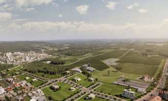 Imagem 4: Reserva Falavigna Quadra 175 Lote 20