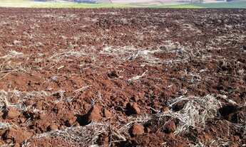 Imagem 7: EXCELENTE AREA- ZONA SUL - ENTRE RIBEIRAO E BONFIM PAULISTA