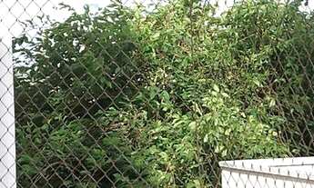 Imagem 7: Apartamento residencial à venda, Cambuí, Campinas