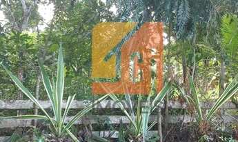 Imagem 5: Lote magnífico no Village II