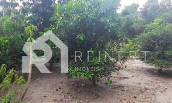 Imagem 6: Sítio para Venda em Barra Velha, Itajuba, 3 dormitórios, 2 banheiros, 2 vagas