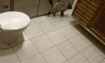 Imagem 6: Sobrado com 4 dormitórios à venda, 360 m² por R$ 1.350.000 - Vila Santa Clara - São Paulo