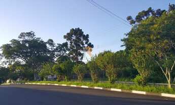 Imagem 2: CANOAS - Terreno Padrão - São José