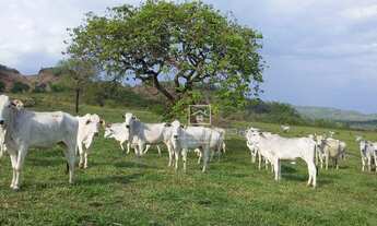 Imagem: Fazenda Região Serra São Vicente - MT