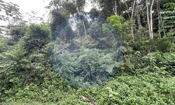 Imagem 3: Terreno com mais de 3.100 m² a venda no Bairro Glória em Joinville, o terreno possui uma á