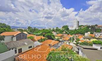 Imagem 6: São Paulo - Casa Padrão - Alto da Lapa