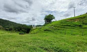 Imagem 6: área - Nova Suíça - Valinhos