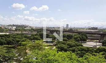 Imagem 4: Apartamento para Aluguel - Cidade Nova, 2 Quartos, 60 m2