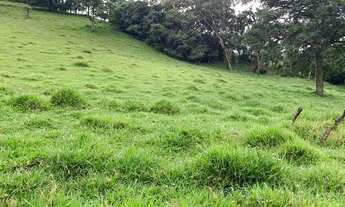 Imagem 2: T.e - Vende-se terrenos a 10 minutos do centro