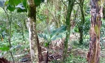 Imagem 7: Aluga-se casa No Centro de Pirabeiraba com 1 suíte mais 3 dormitórios, Joinville, SC