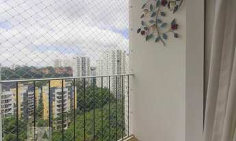 Imagem 5: Apartamento para Aluguel - Jardim Marajoara , 3 Quartos, 69 m2
