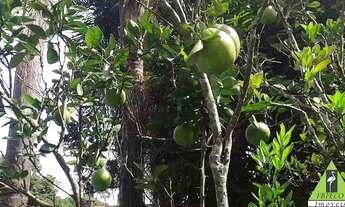 Imagem 5: IBIUNA - RESIDENCIAL - CURRAL