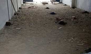 Imagem 7: Galpão para alugar cabedelo