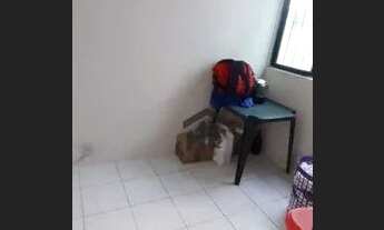 Imagem 6: Casa de Privê com 4 Quartos em Jardim Atlântico