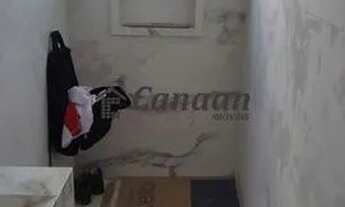 Imagem 6: IBIRITé - Padrão - Palmeiras