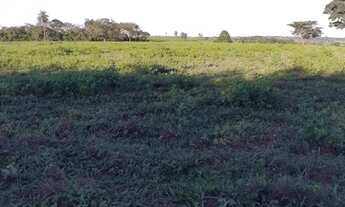 Imagem 4: Fazenda 44 alqueires em Sta Rita do Oeste- com cana e pasto