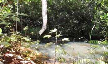 Imagem: Chácara de 1.700m² poço de peixe, toda