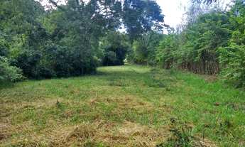 Imagem 7: Terra nua para formação de Sítio ou Chácara no Barreiro