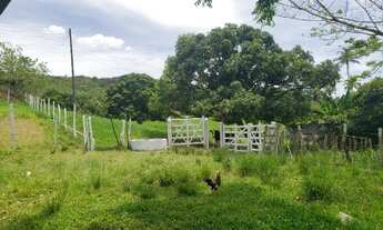 Imagem 7: Fazenda e Haras em Itaporanga/SE - Vende ou Troca