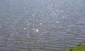 Imagem 6: Terreno - Loteamento Alphaville Campinas - Campinas