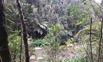 Imagem 6: Chácara com lindo rio e árvores frutíferas 6,3 alqueires!!