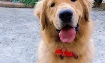 Imagem 4: Alugo quarto para meninas