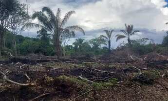 Imagem 3: Terreno Plano para Sítio no Km 26 da AM 070 (Manoel Urbano) Possui 1200m²