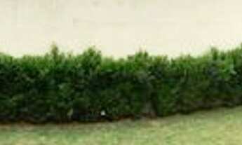 Imagem 4: More no melhor da Vila São Francisco