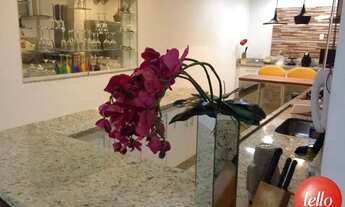 Imagem 6: São Paulo - Casa Padrão - Tatuapé