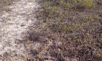 Imagem 4: Terreno mini chacara medino 200m2 localizado em sao jose no loteamento jardim imperia